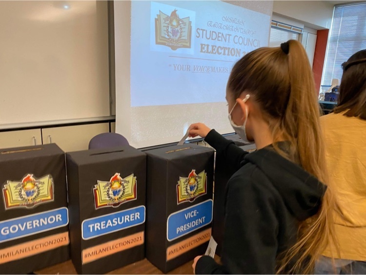 voting